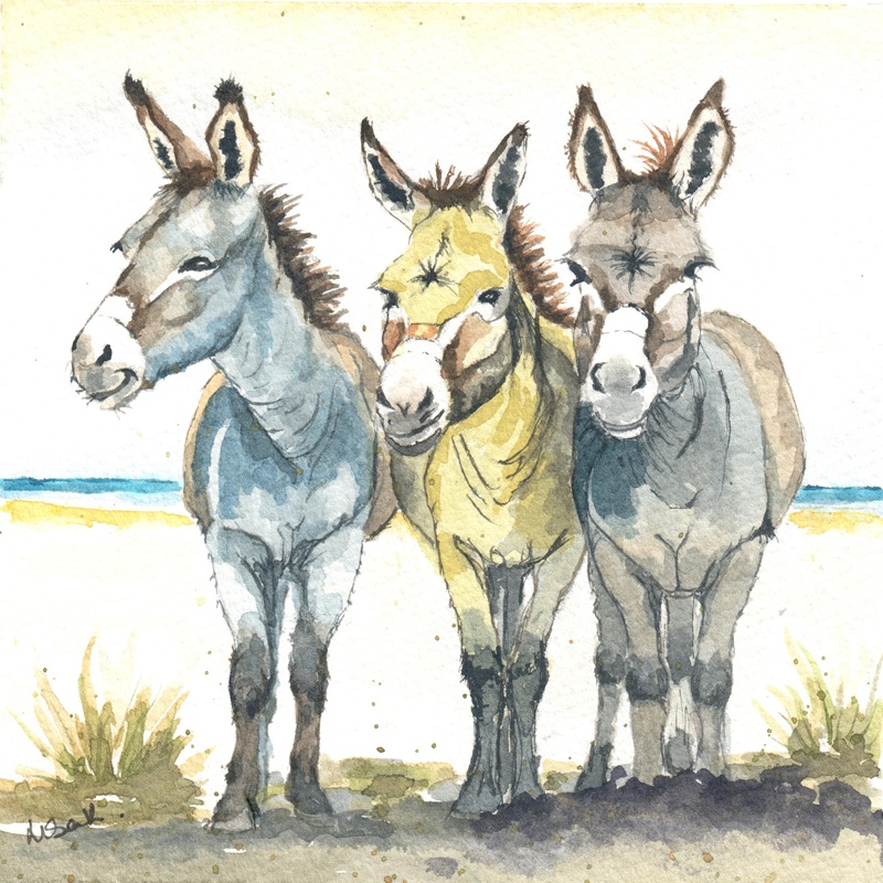 Donkeys unmounted
